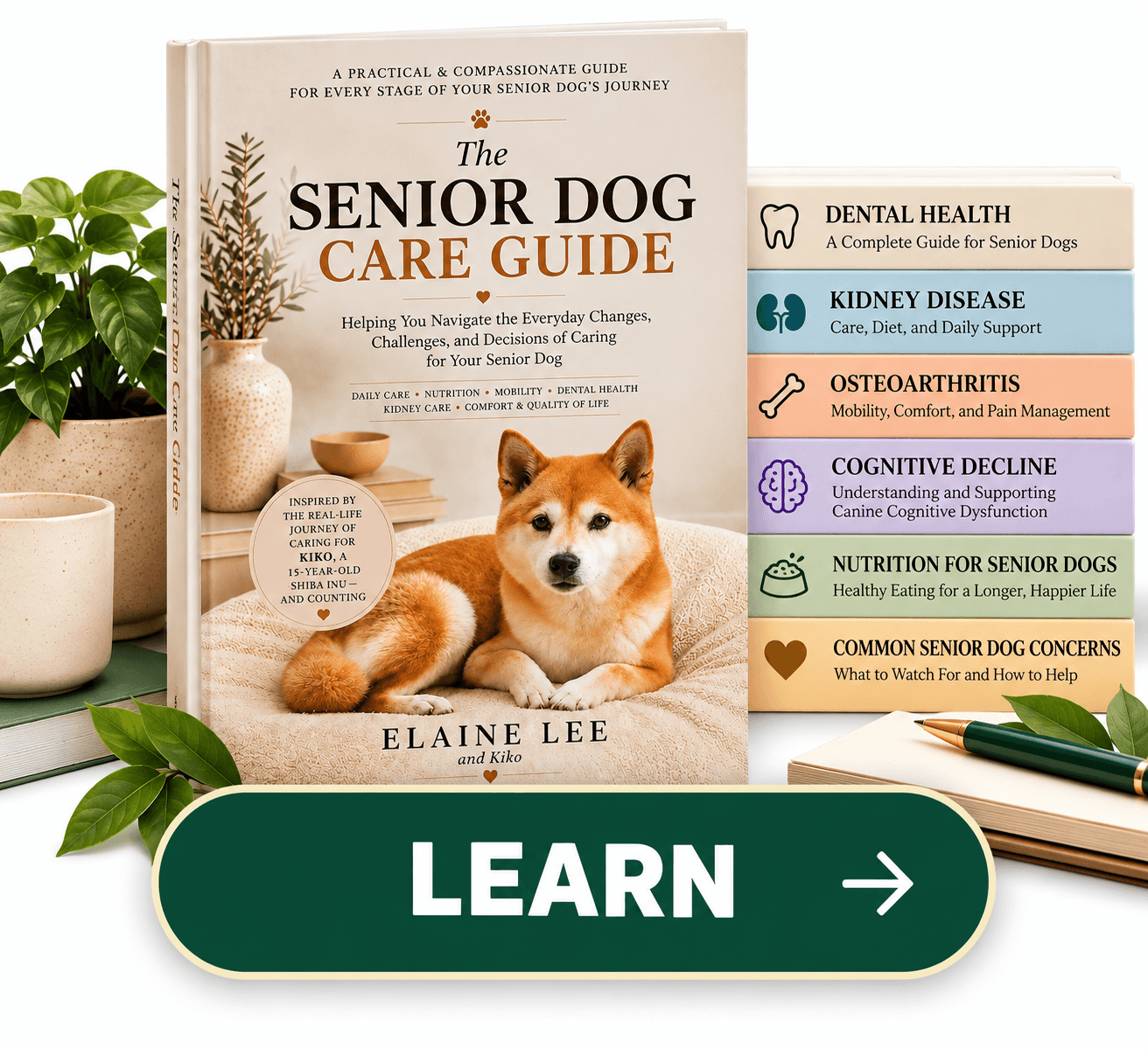 VetBud Learn resources